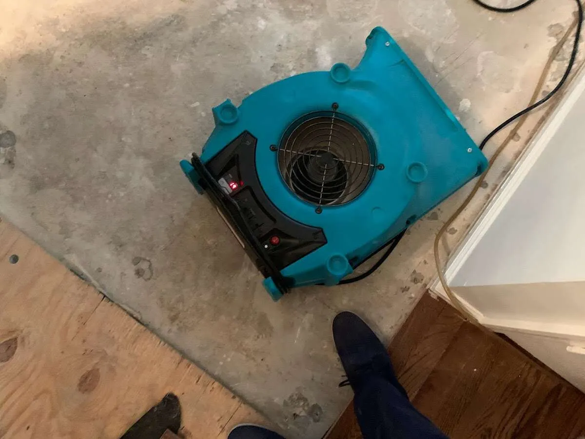 Air mover drying subfloor during Leak Detection & Repair in Cypress Lake