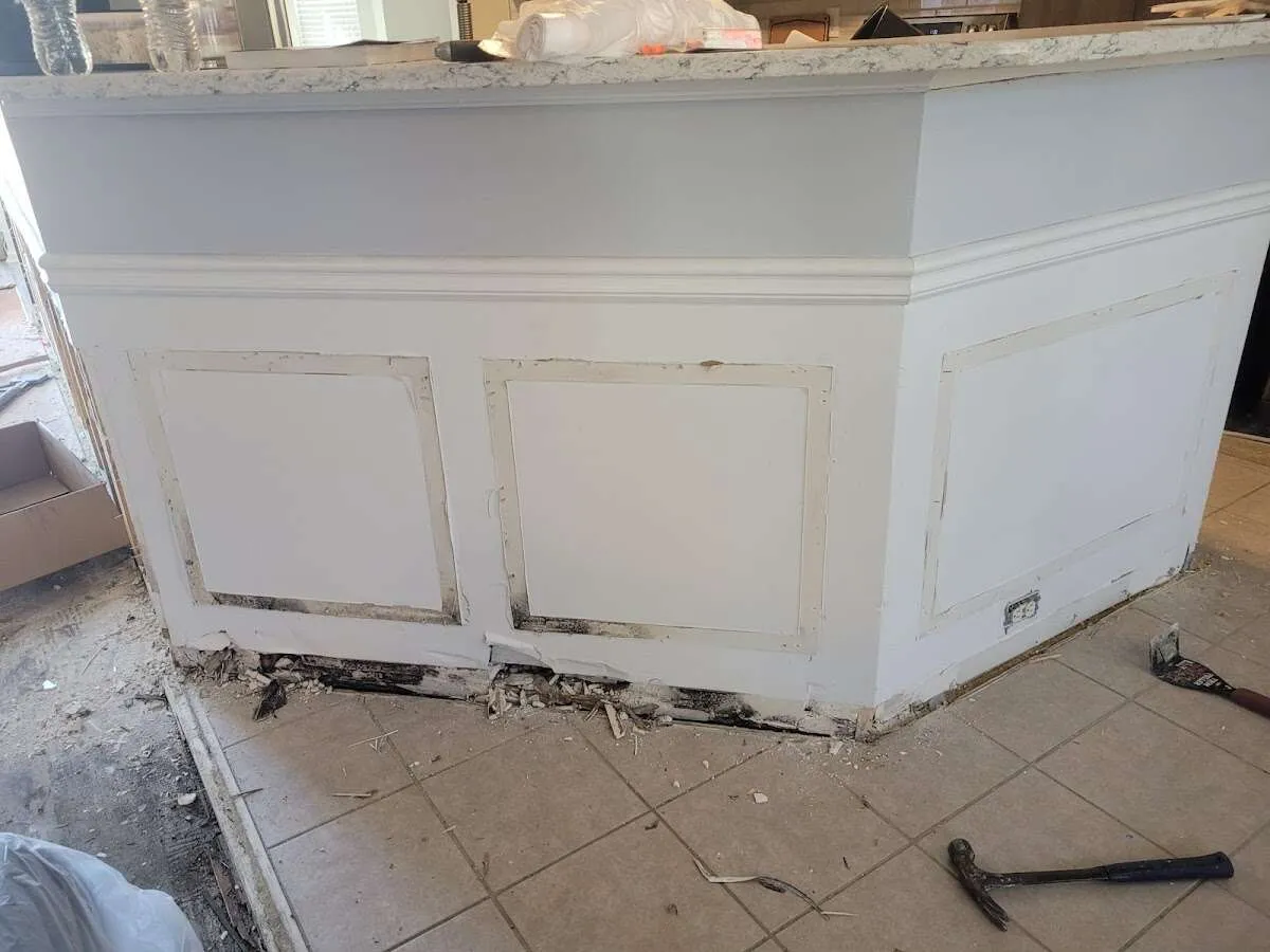 Water damage and mold on kitchen during Mold Inspection & Testing in Cypress Lake